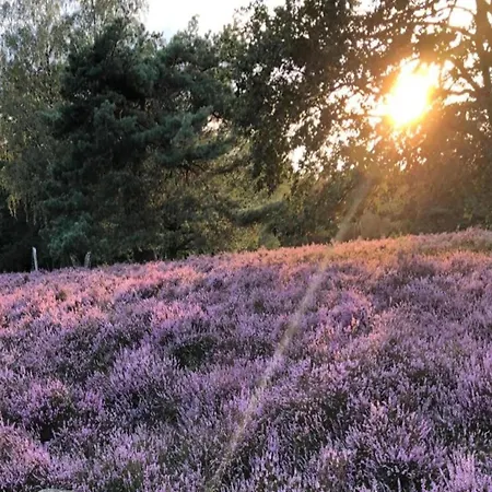 דירה Moderne Mit Terrasse