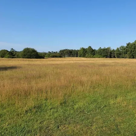 דירה Moderne Mit Terrasse *