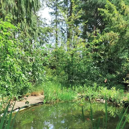 Moderne Mit Terrasse שנברדינגן